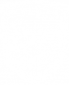 Porsche White