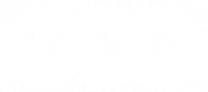 Voo White